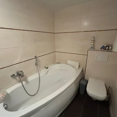 Hinterhaus Im Elbhang In Zw, Loschwitz Und Pillnitz - Saechsische Schweiz