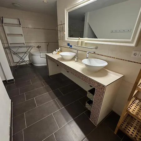 Hinterhaus Im Elbhang In Zw, Loschwitz Und Pillnitz - Saechsische Schweiz Dresden