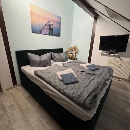 Apartamento Hinterhaus Im Elbhang In Zw, Loschwitz Und Pillnitz - Saechsische Schweiz *