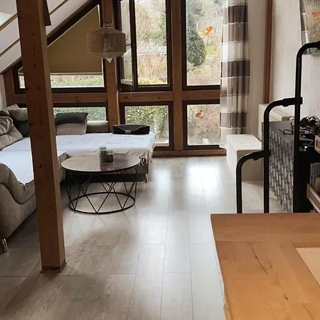 Hinterhaus Im Elbhang In Zw, Loschwitz Und Pillnitz - Saechsische Schweiz *