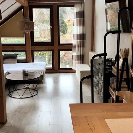 Lejlighed Hinterhaus Im Elbhang In Zw, Loschwitz Und Pillnitz - Saechsische Schweiz Dresden