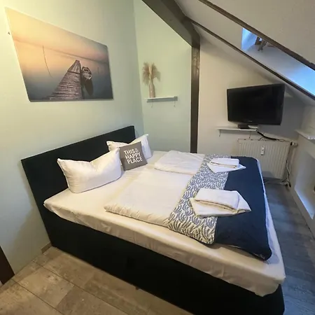 Hinterhaus Im Elbhang In Zw, Loschwitz Und Pillnitz - Saechsische Schweiz Apartment