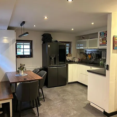 Hinterhaus Im Elbhang In Zw, Loschwitz Und Pillnitz - Saechsische Schweiz *