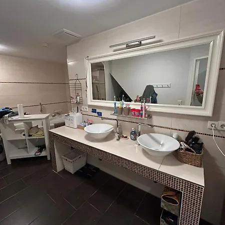 Hinterhaus Im Elbhang In Zw, Loschwitz Und Pillnitz - Saechsische Schweiz Apartment *