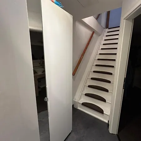 Hinterhaus Im Elbhang In Zw, Loschwitz Und Pillnitz - Saechsische Schweiz Apartment Dresden