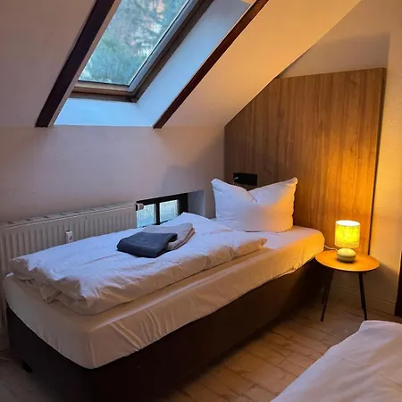 Apartment Hinterhaus Im Elbhang In Zw, Loschwitz Und Pillnitz - Saechsische Schweiz Dresden