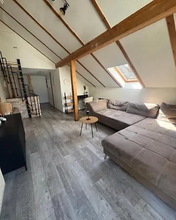 Hinterhaus Im Elbhang In Zw, Loschwitz Und Pillnitz - Saechsische Schweiz *