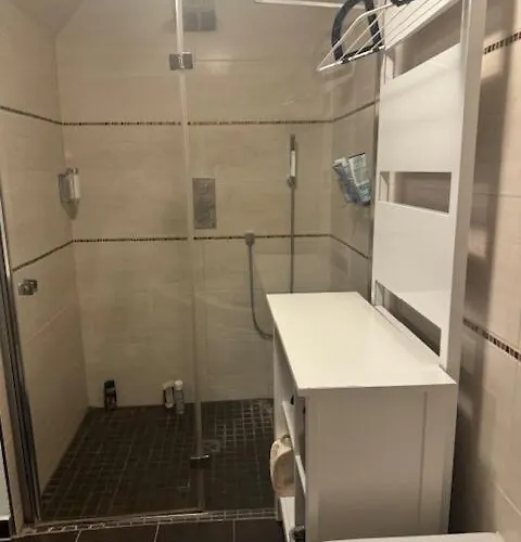 Hinterhaus Im Elbhang In Zw, Loschwitz Und Pillnitz - Saechsische Schweiz