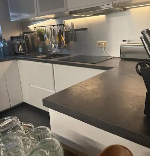 Hinterhaus Im Elbhang In Zw, Loschwitz Und Pillnitz - Saechsische Schweiz Apartmán Drážďany