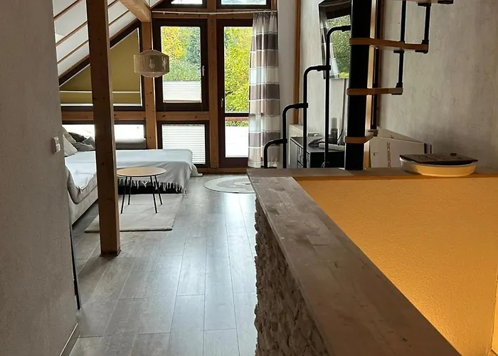 Hinterhaus Im Elbhang In Zw, Loschwitz Und Pillnitz - Saechsische Schweiz Apartmán Drážďany