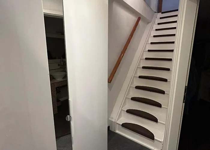 Hinterhaus Im Elbhang In Zw, Loschwitz Und Pillnitz - Saechsische Schweiz Apartment Dresden