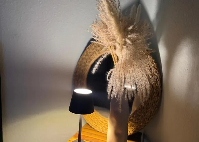 Hinterhaus Im Elbhang In Zw, Loschwitz Und Pillnitz - Saechsische Schweiz شقة *