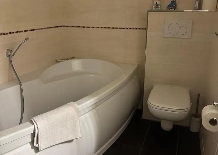 Hinterhaus Im Elbhang In Zw, Loschwitz Und Pillnitz - Saechsische Schweiz * Dresden