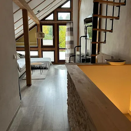 Hinterhaus Im Elbhang In Zw, Loschwitz Und Pillnitz - Saechsische Schweiz Apartamento Dresde