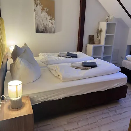 Hinterhaus Im Elbhang In Zw, Loschwitz Und Pillnitz - Saechsische Schweiz *