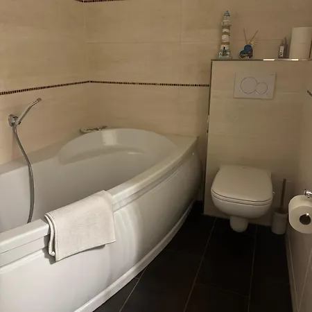 Hinterhaus Im Elbhang In Zw, Loschwitz Und Pillnitz - Saechsische Schweiz * Dresde