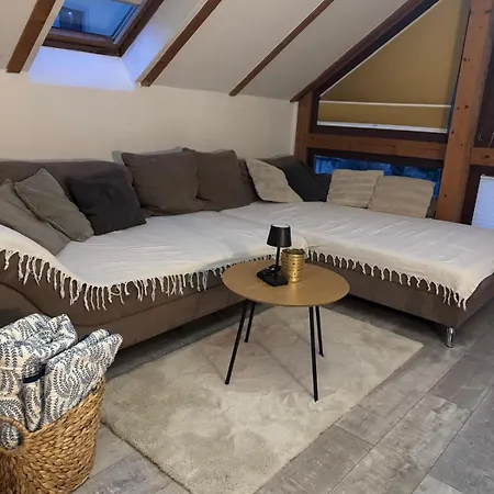 Hinterhaus Im Elbhang In Zw, Loschwitz Und Pillnitz - Saechsische Schweiz Apartamento Dresde