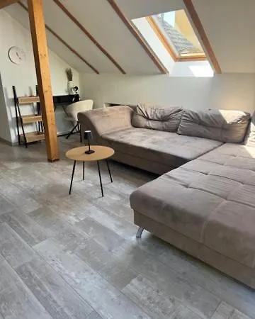 Apartament Hinterhaus Im Elbhang In Zw, Loschwitz Und Pillnitz - Saechsische Schweiz *