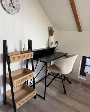 Hinterhaus Im Elbhang In Zw, Loschwitz Und Pillnitz - Saechsische Schweiz Apartament *
